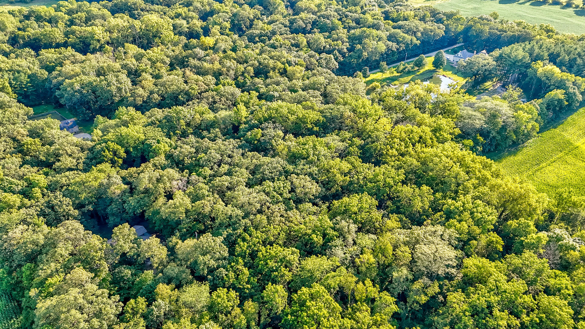 4010 East 1950th Road Sheridan, IL 60551 - Photo 41 of 42 a view of a house with a tree