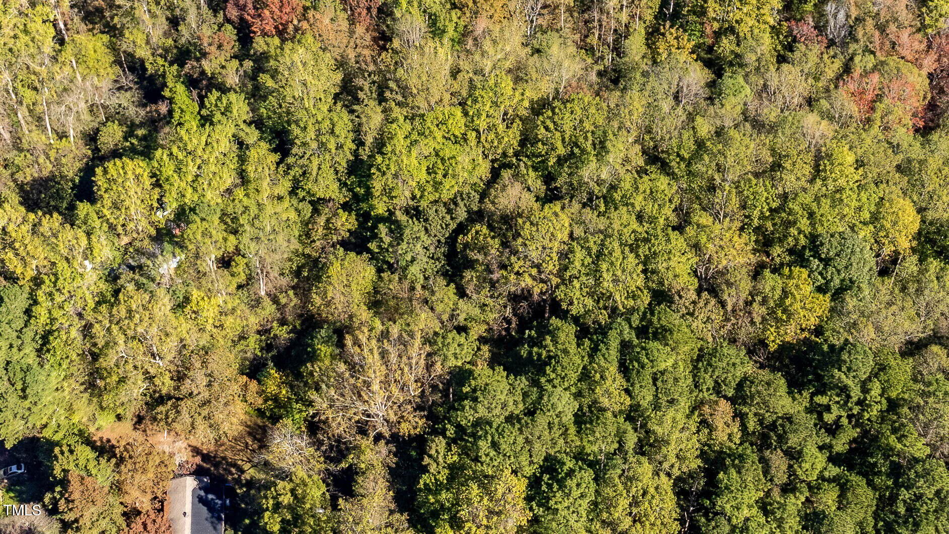 0 Neville Road Chapel Hill, NC 27516 - Photo 6 of 22 a view of a yard
