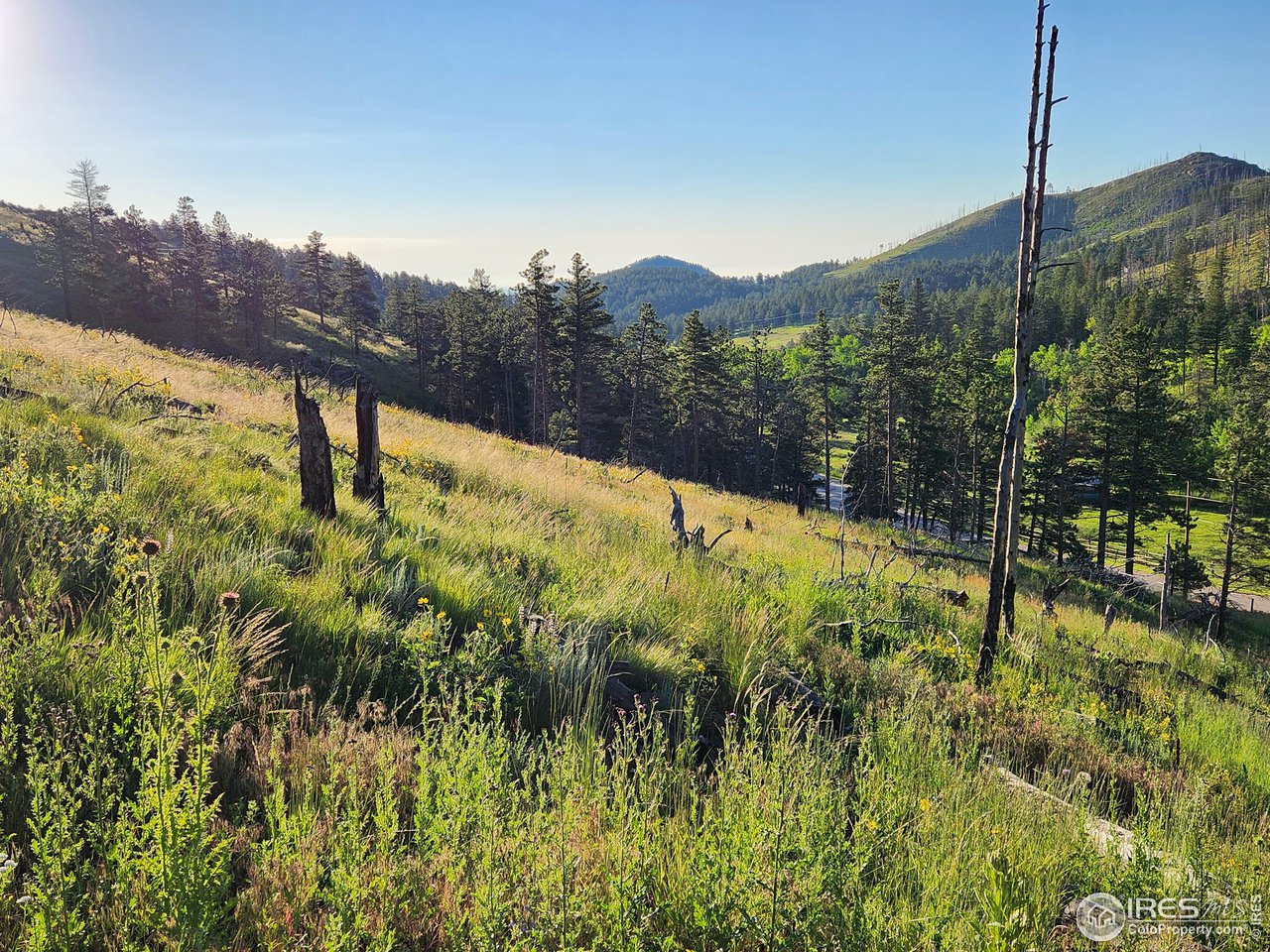 13000 Rist Canyon Road Bellvue, CO 80512 - Photo 11 of 21