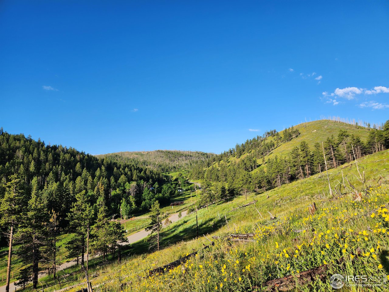 13000 Rist Canyon Road Bellvue, CO 80512 - Photo 12 of 21
