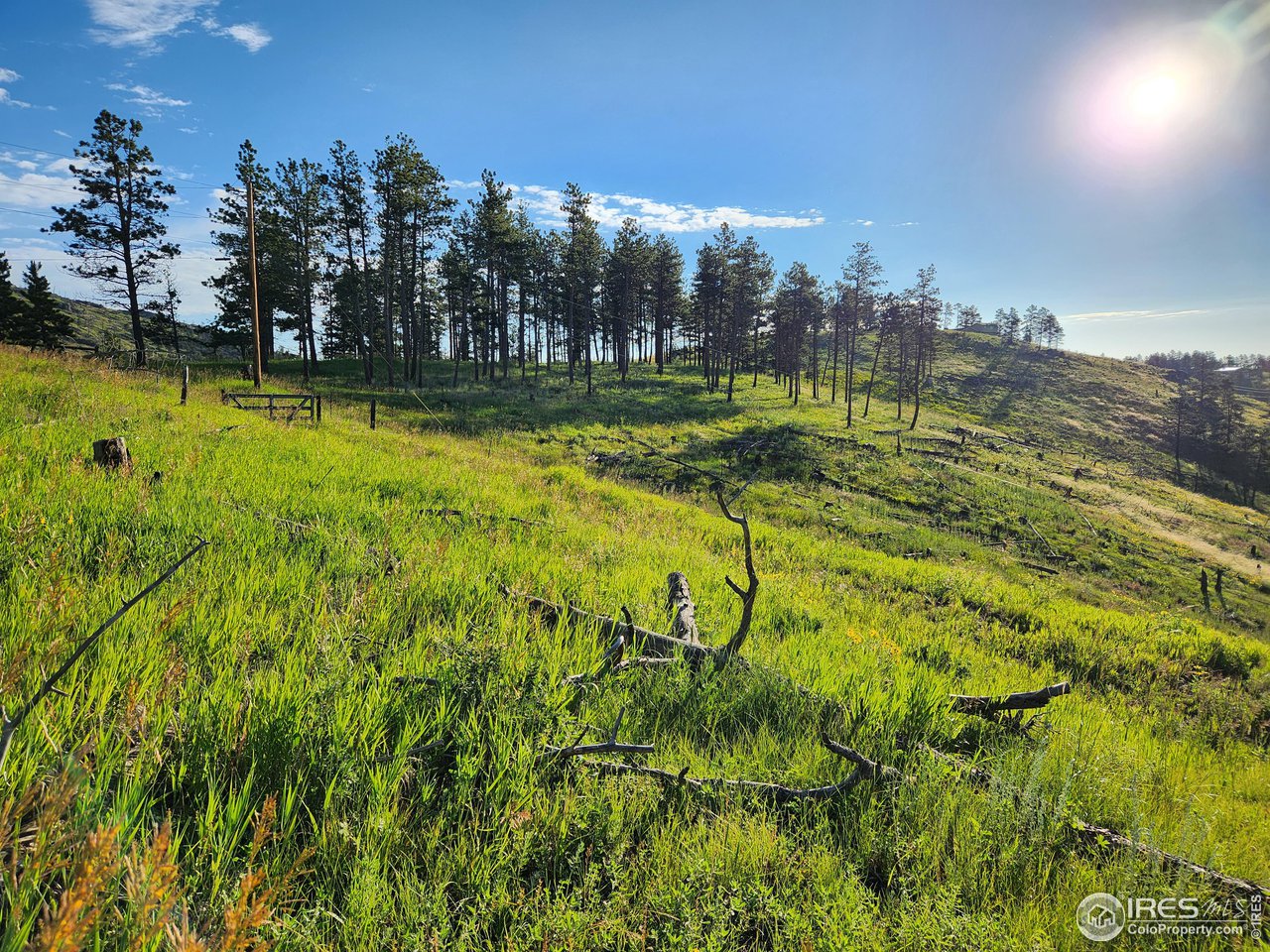 13000 Rist Canyon Road Bellvue, CO 80512 - Photo 15 of 21