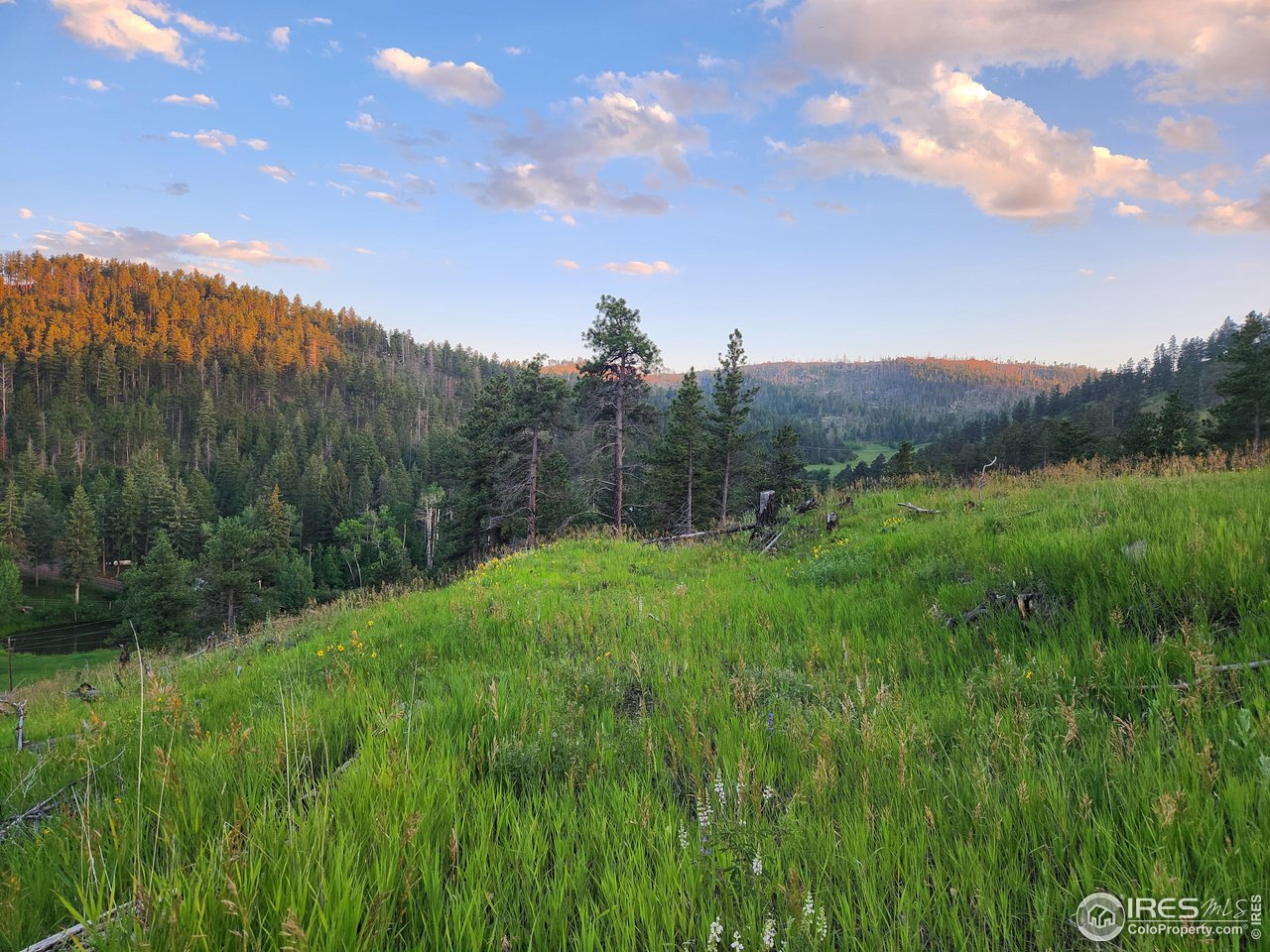 13000 Rist Canyon Road Bellvue, CO 80512 - Photo 16 of 21
