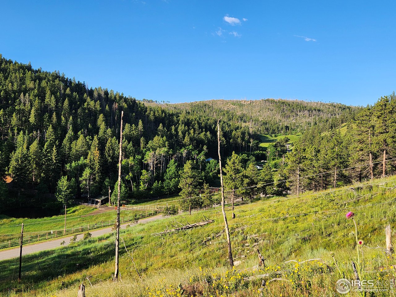 13000 Rist Canyon Road Bellvue, CO 80512 - Photo 19 of 21