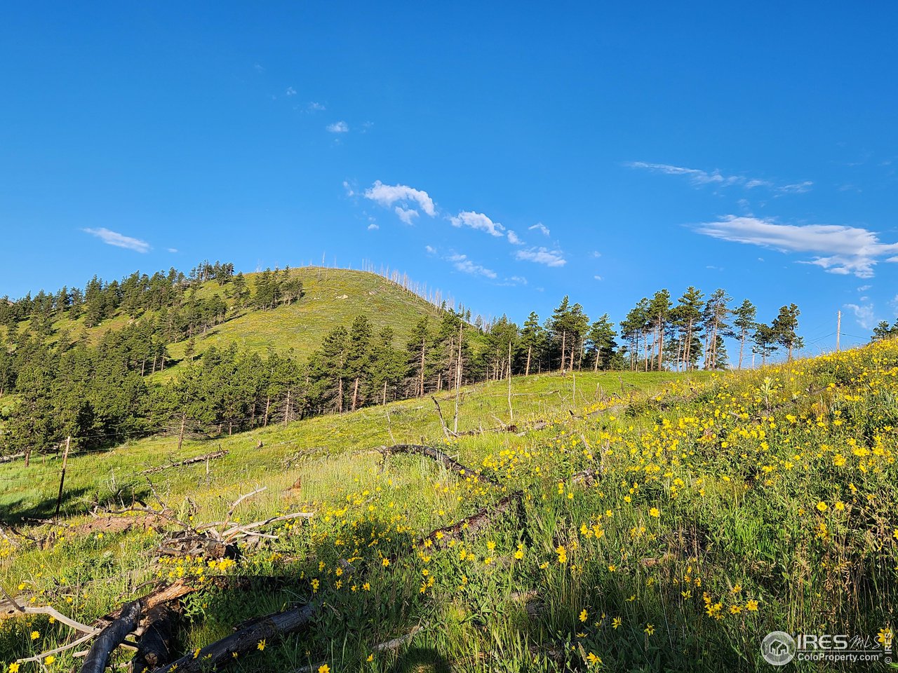 13000 Rist Canyon Road Bellvue, CO 80512 - Photo 20 of 21