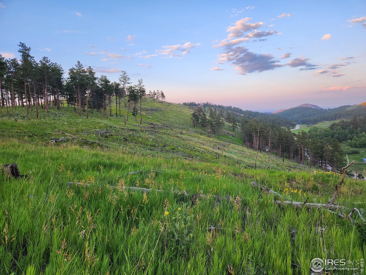 13000 Rist Canyon Road Bellvue, CO 80512 - Photo 2 of 21
