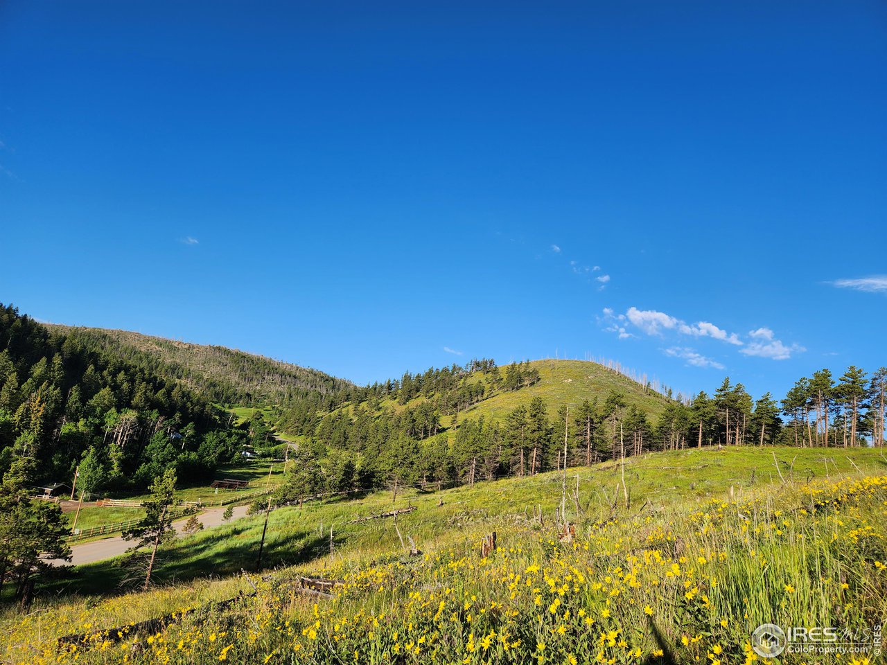 13000 Rist Canyon Road Bellvue, CO 80512 - Photo 21 of 21