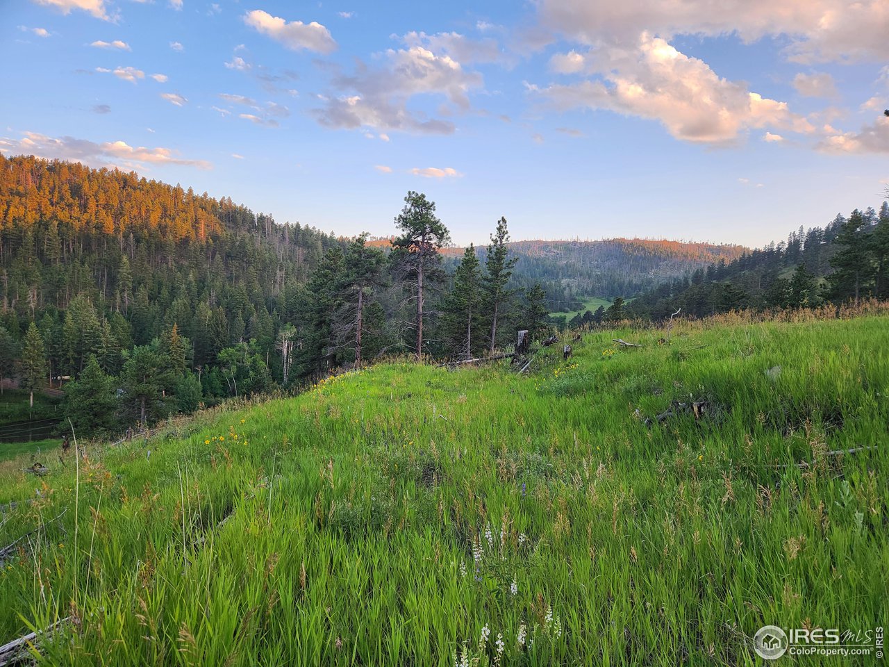 13000 Rist Canyon Road Bellvue, CO 80512 - Photo 4 of 21