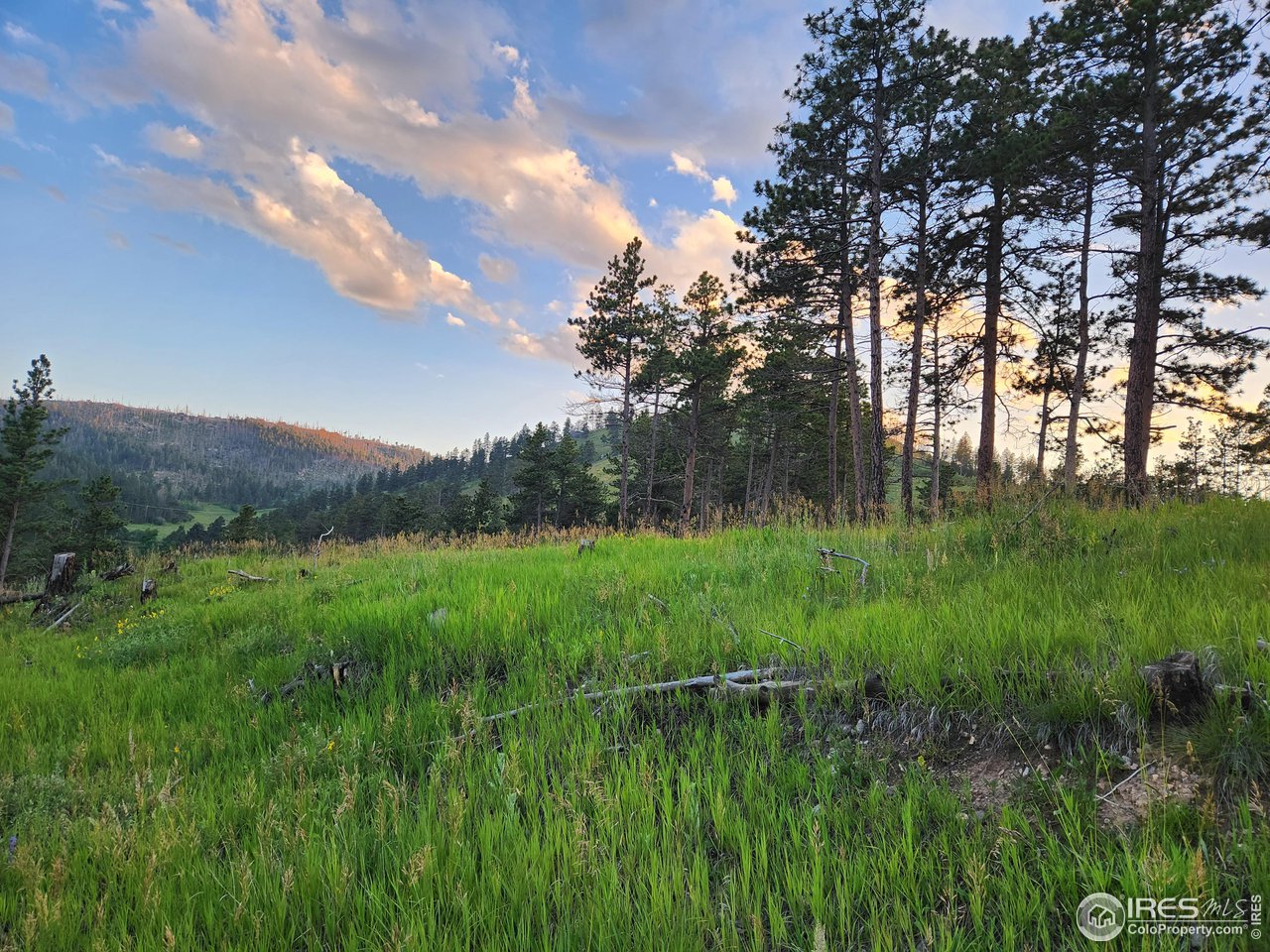 13000 Rist Canyon Road Bellvue, CO 80512 - Photo 5 of 21
