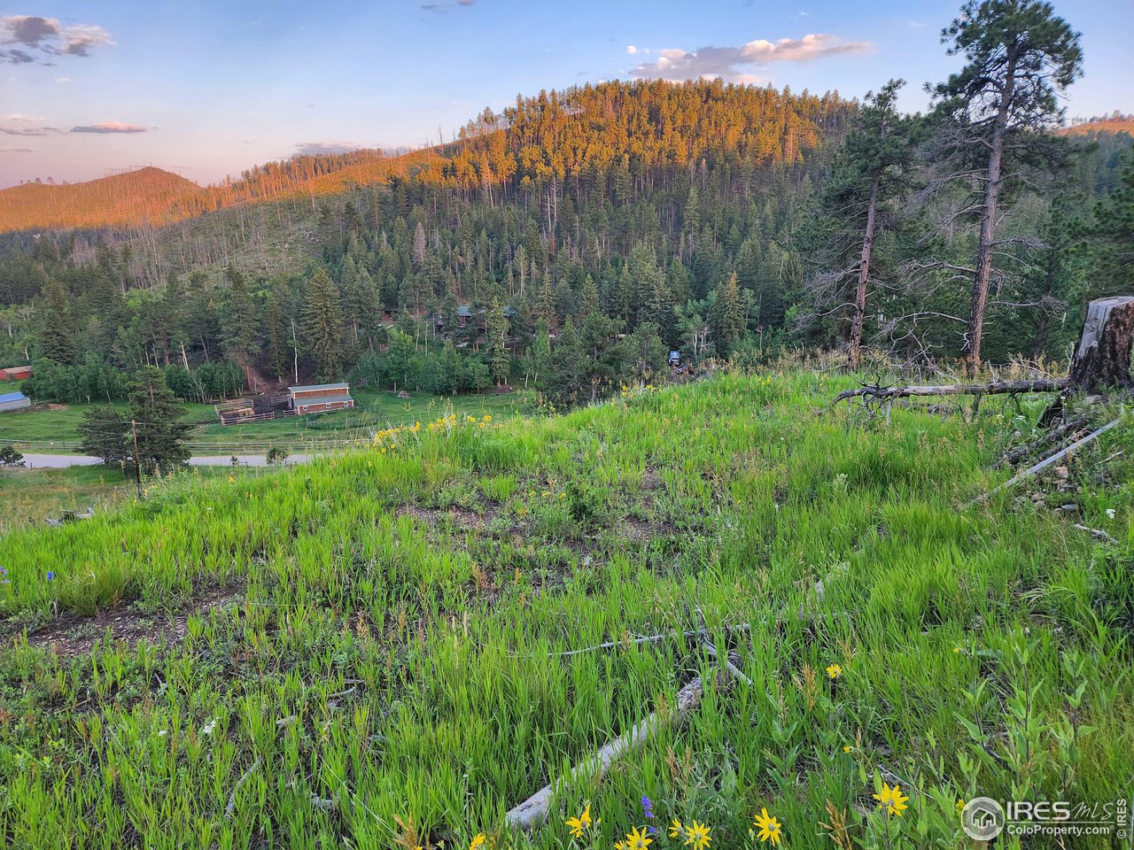 13000 Rist Canyon Road Bellvue, CO 80512 - Photo 6 of 21