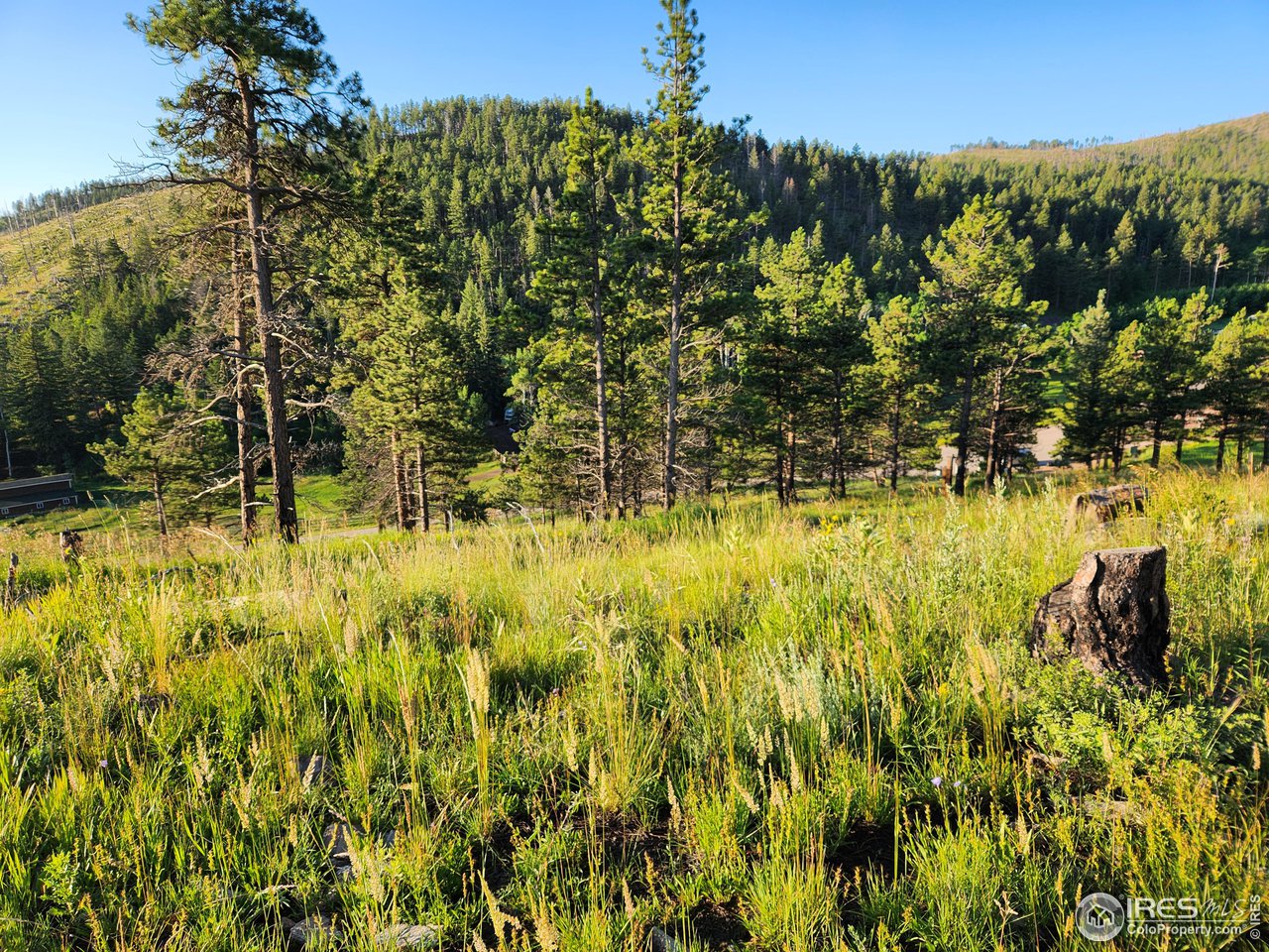 13000 Rist Canyon Road Bellvue, CO 80512 - Photo 9 of 21