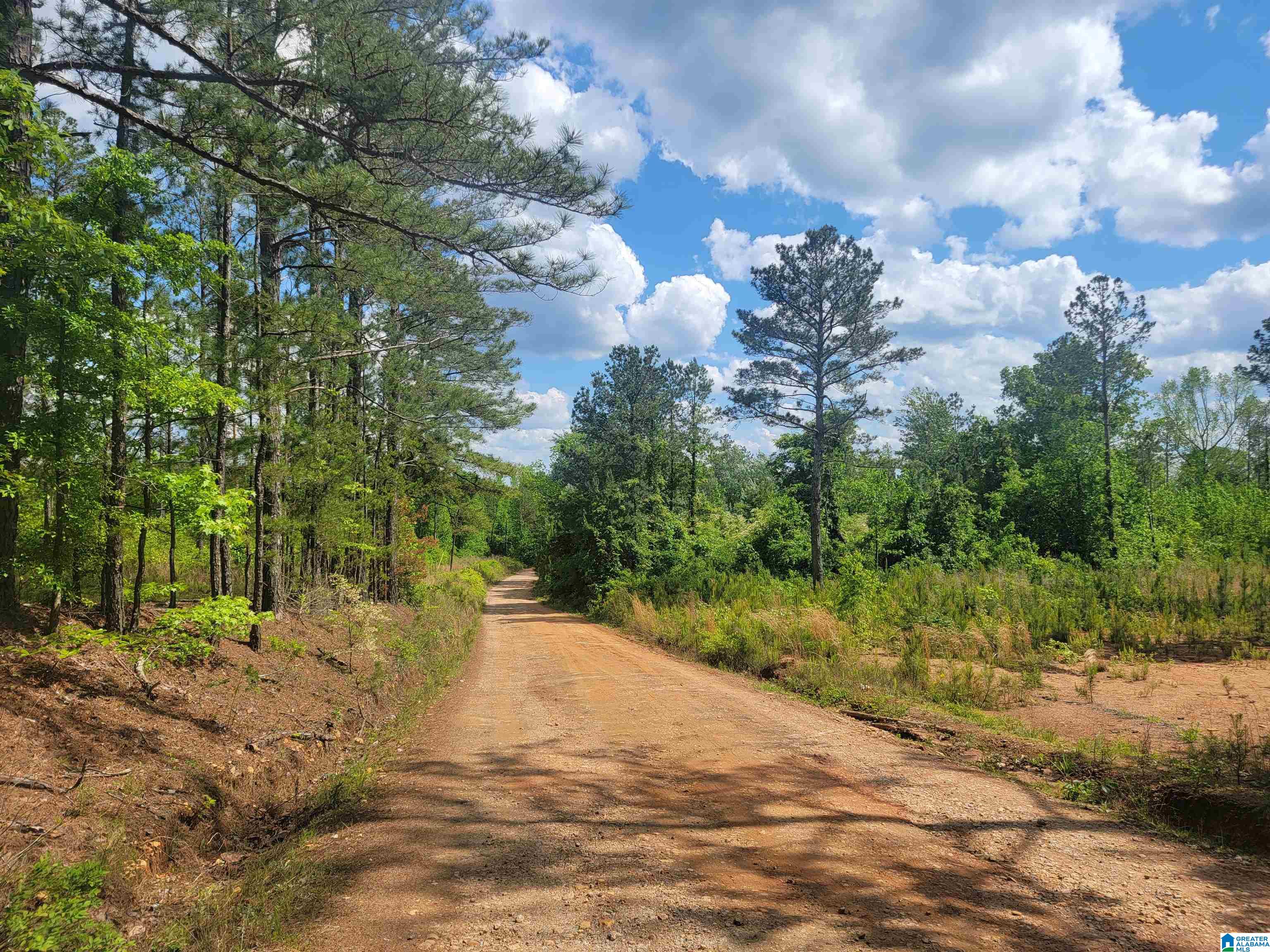 57 County Road 649 Roanoke, AL 36274 - Photo 2 of 4