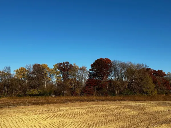 $159,900 | Lot 6 151st Avenue Southeast, Becker, MN 55308