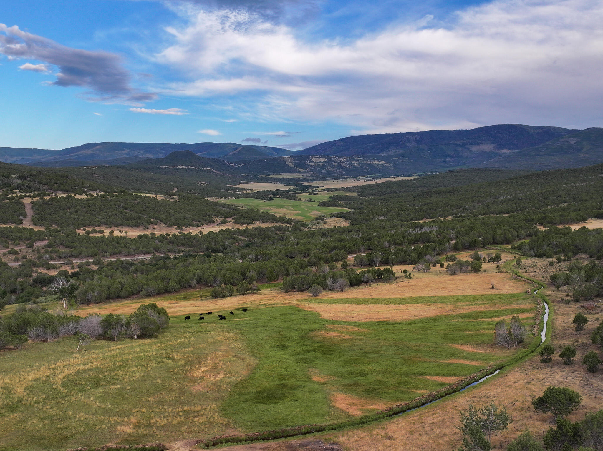 56106 Me Road Collbran, CO 81624 - Photo 6 of 27 deacon-gulch-ranch-creek