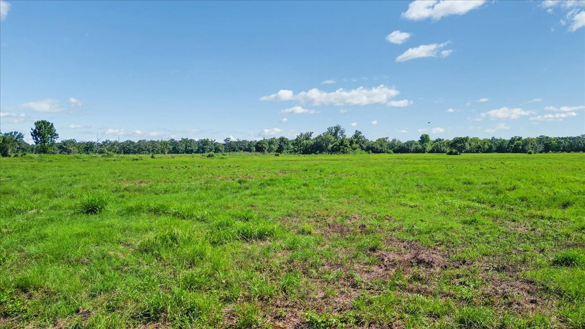 8922 FM 521 Road Brazoria, TX 77422 - Photo 11 of 14 a view of an outdoor space and a yard
