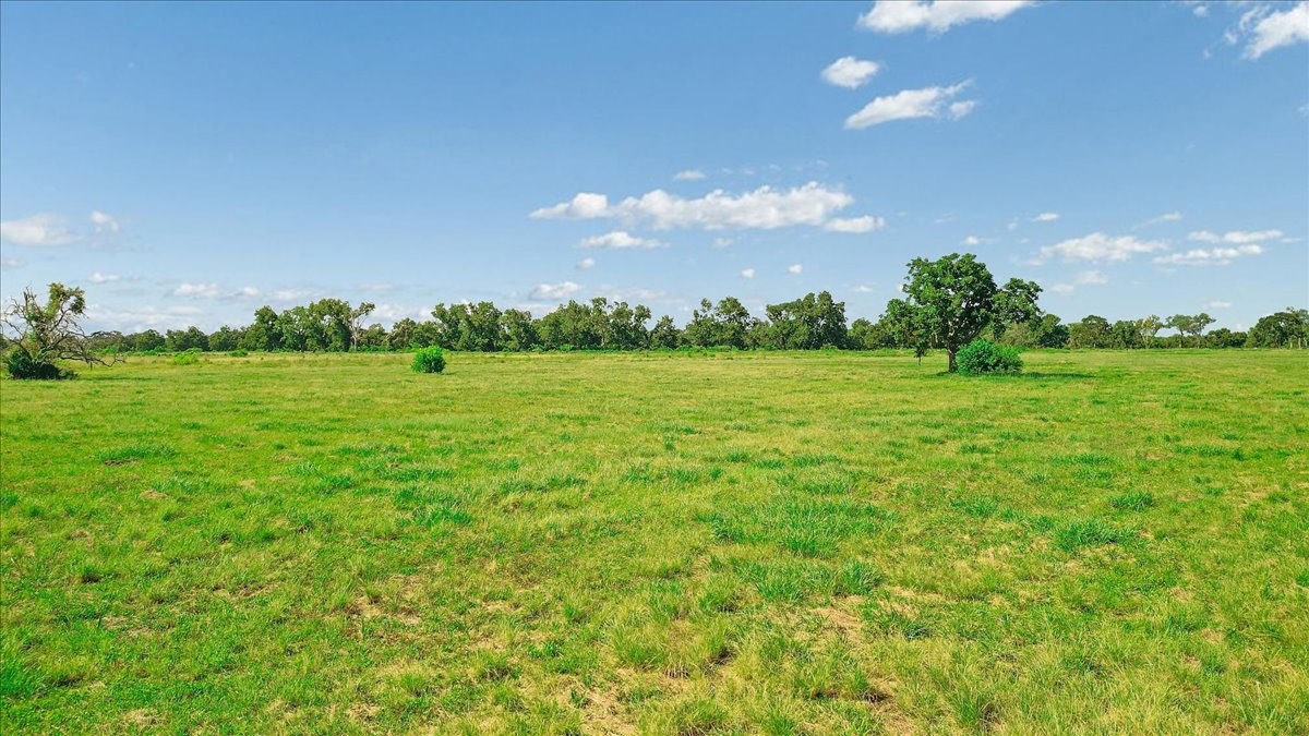 8922 FM 521 Road Brazoria, TX 77422 - Photo 14 of 14 a view of a big yard with plants and large trees