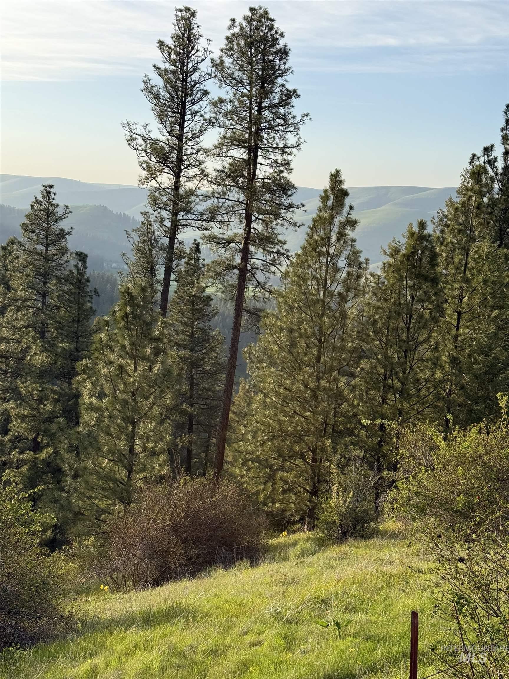 Tbd Tbd Summit Lenore, ID 83541 - Photo 11 of 19