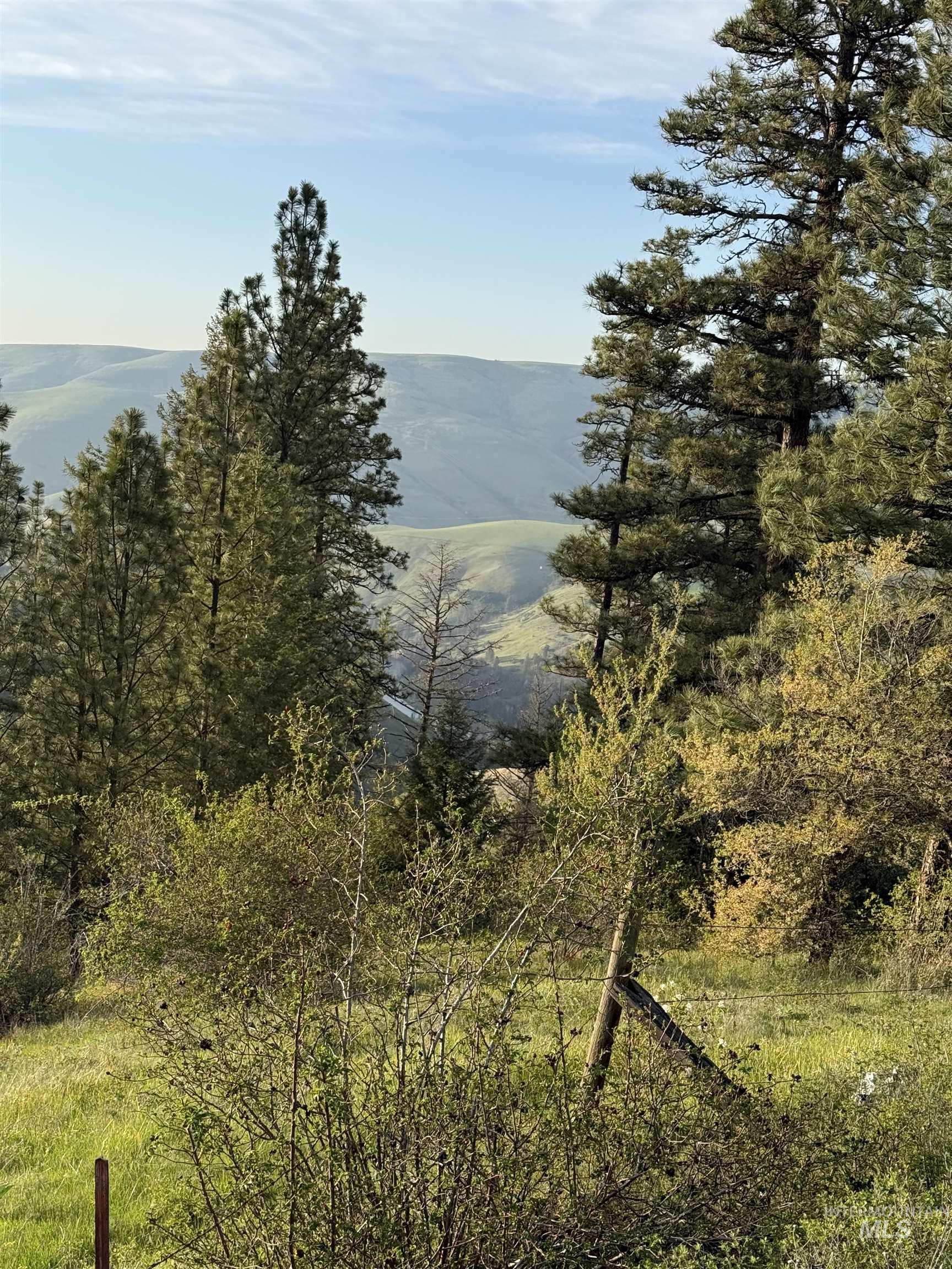 Tbd Tbd Summit Lenore, ID 83541 - Photo 12 of 19