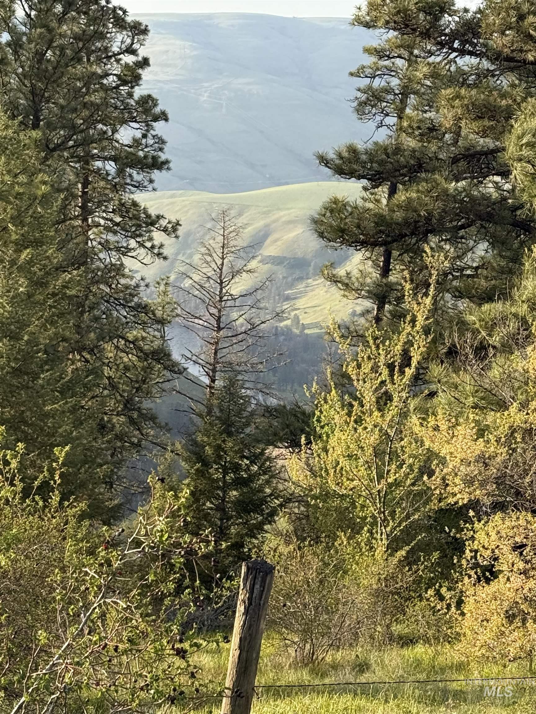 Tbd Tbd Summit Lenore, ID 83541 - Photo 13 of 19