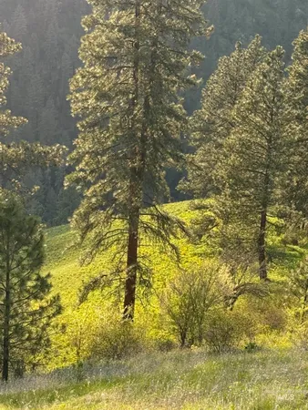 $199,000 | Tbd Tbd Summit, Lenore, ID 83541