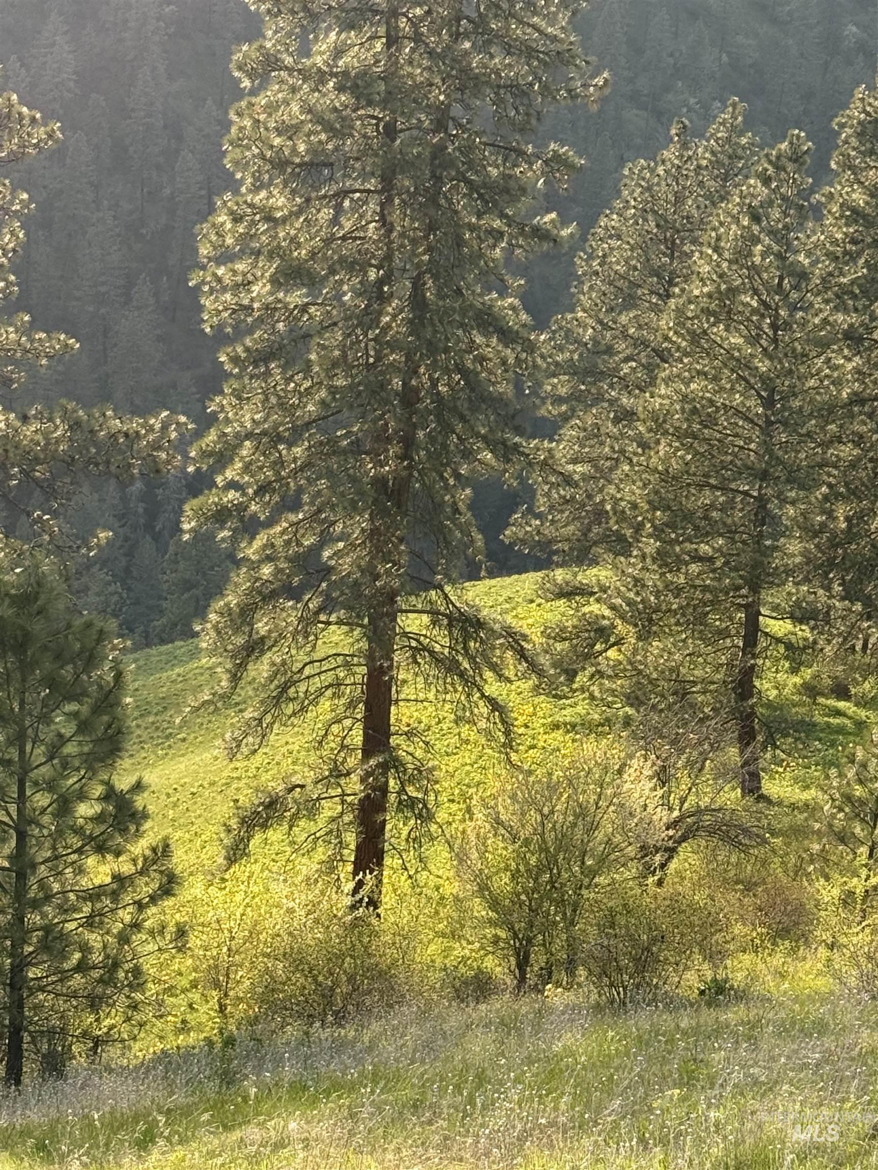 Tbd Tbd Summit Lenore, ID 83541 - Photo 14 of 19