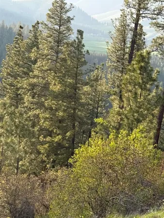 $199,000 | Tbd Tbd Summit, Lenore, ID 83541
