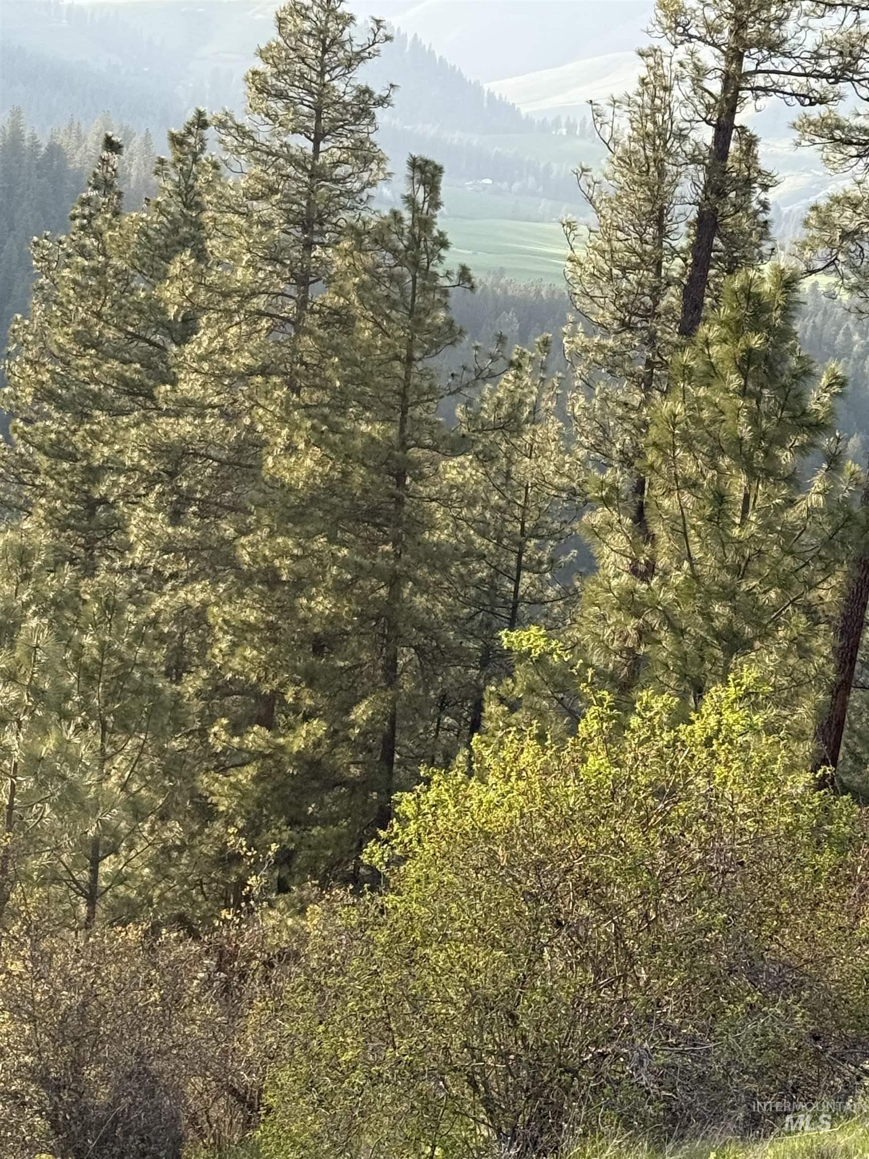 Tbd Tbd Summit Lenore, ID 83541 - Photo 15 of 19