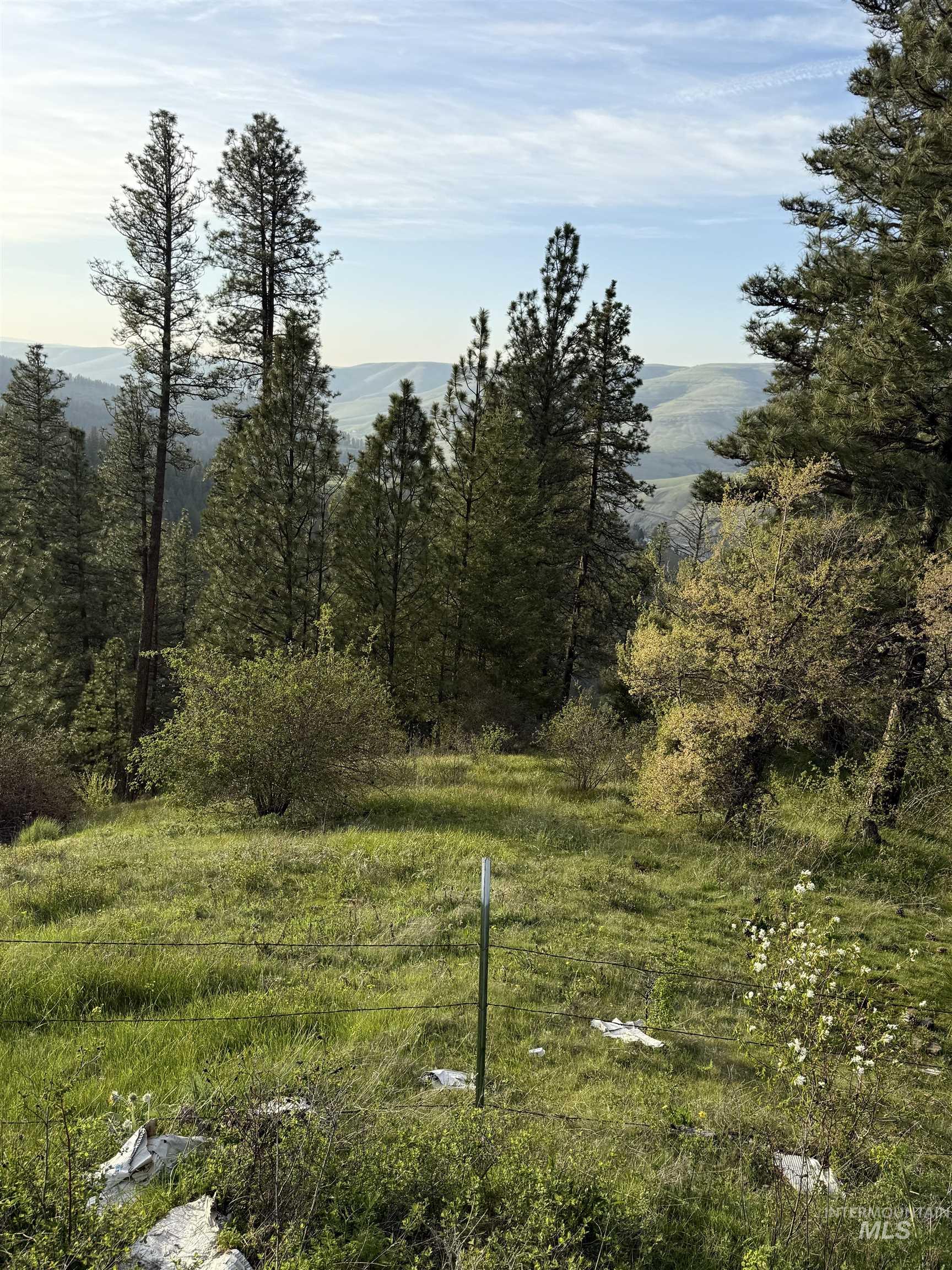 Tbd Tbd Summit Lenore, ID 83541 - Photo 16 of 19