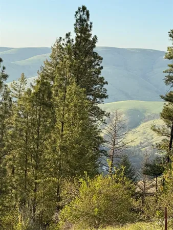 $199,000 | Tbd Tbd Summit, Lenore, ID 83541