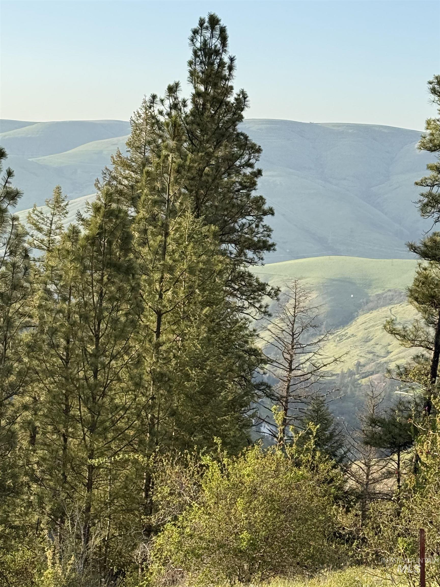 Tbd Tbd Summit Lenore, ID 83541 - Photo 17 of 19