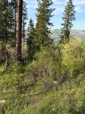 $199,000 | Tbd Tbd Summit, Lenore, ID 83541