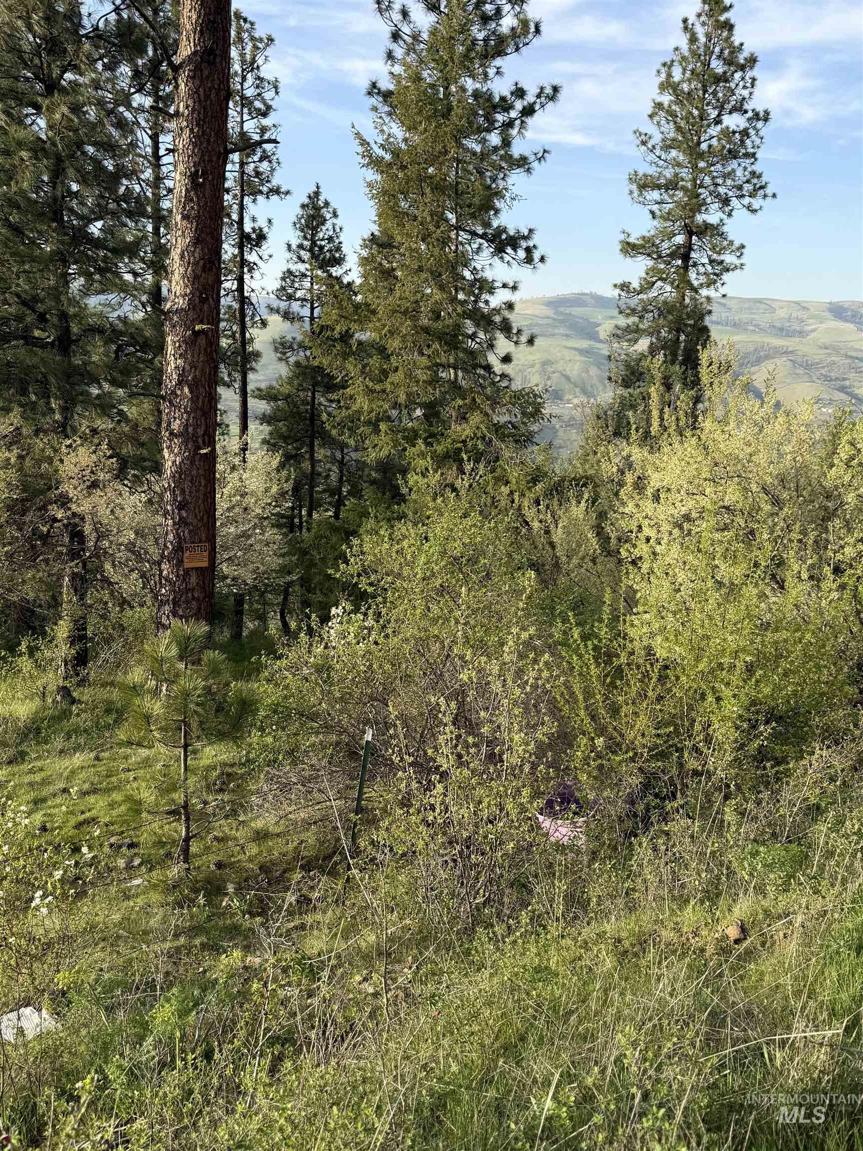 Tbd Tbd Summit Lenore, ID 83541 - Photo 19 of 19