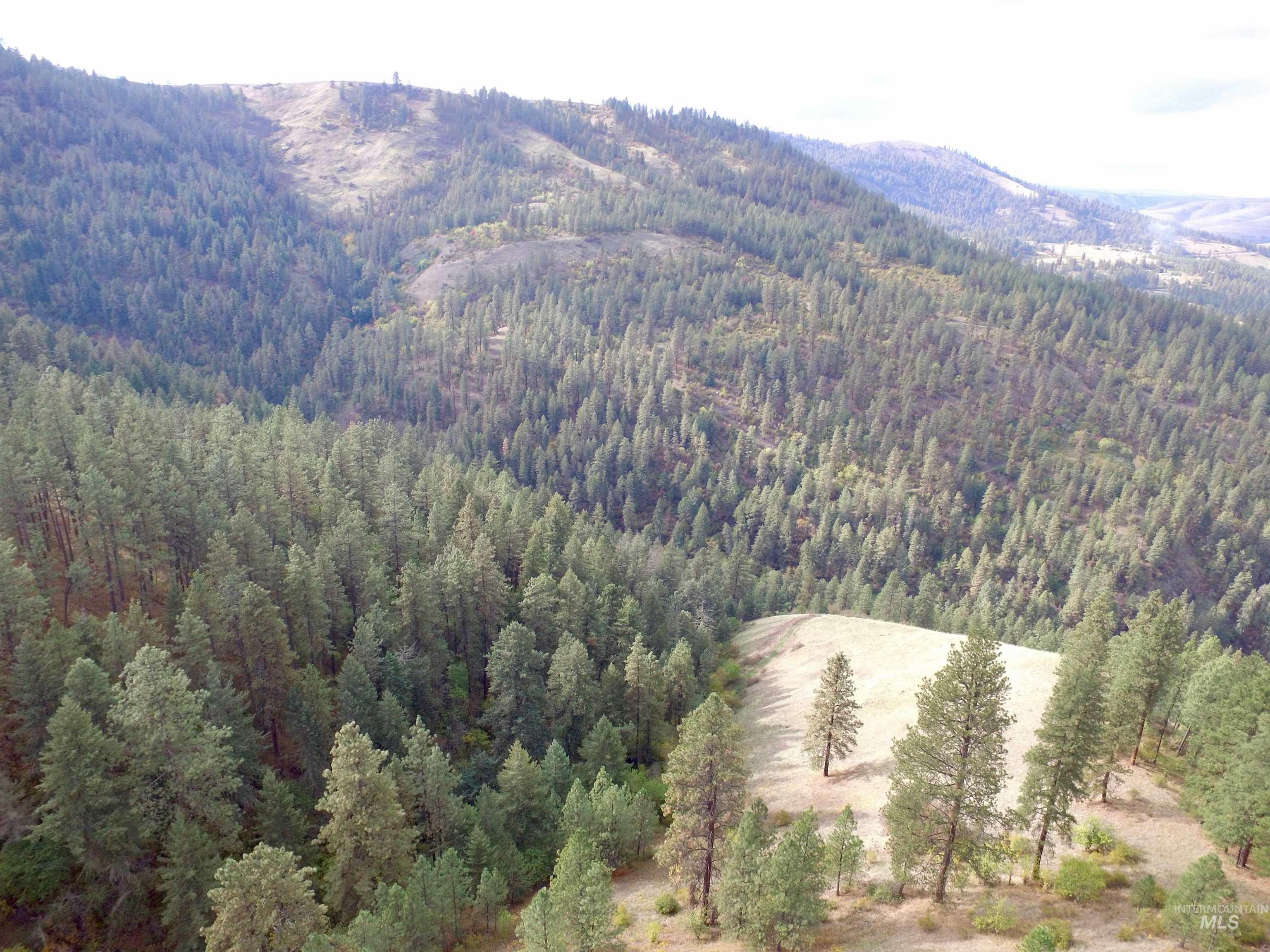 Tbd Tbd Summit Lenore, ID 83541 - Photo 2 of 19