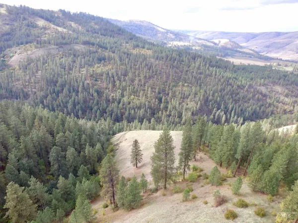 $199,000 | Tbd Tbd Summit, Lenore, ID 83541