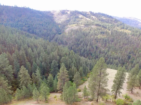 $199,000 | Tbd Tbd Summit, Lenore, ID 83541