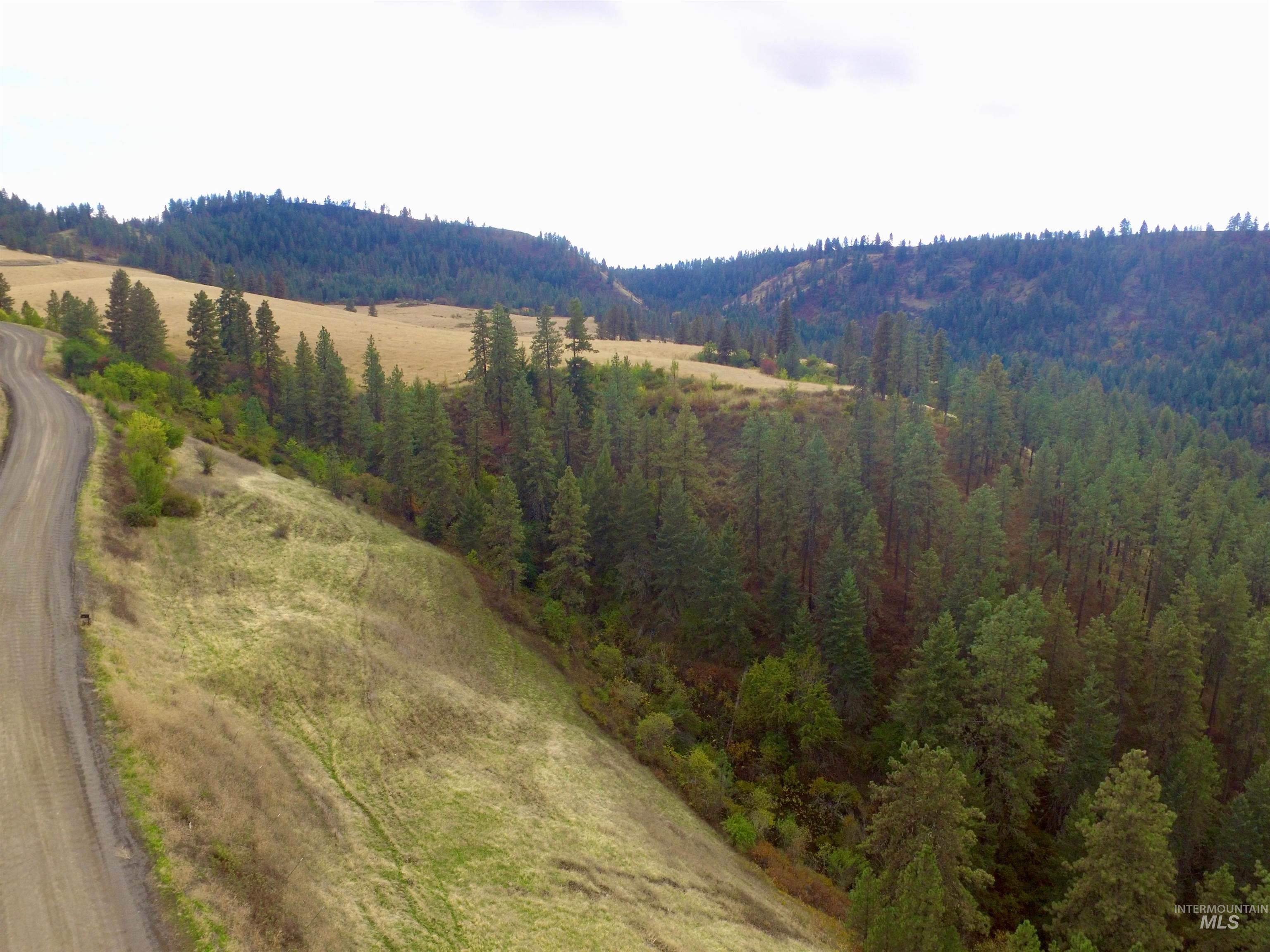 Tbd Tbd Summit Lenore, ID 83541 - Photo 5 of 19