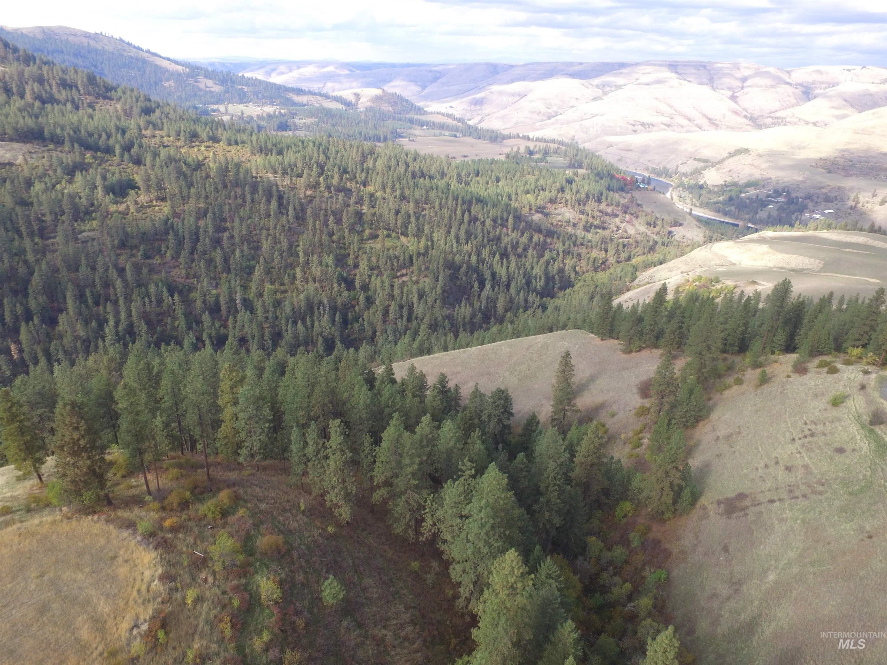 Tbd Tbd Summit Lenore, ID 83541 - Photo 6 of 19