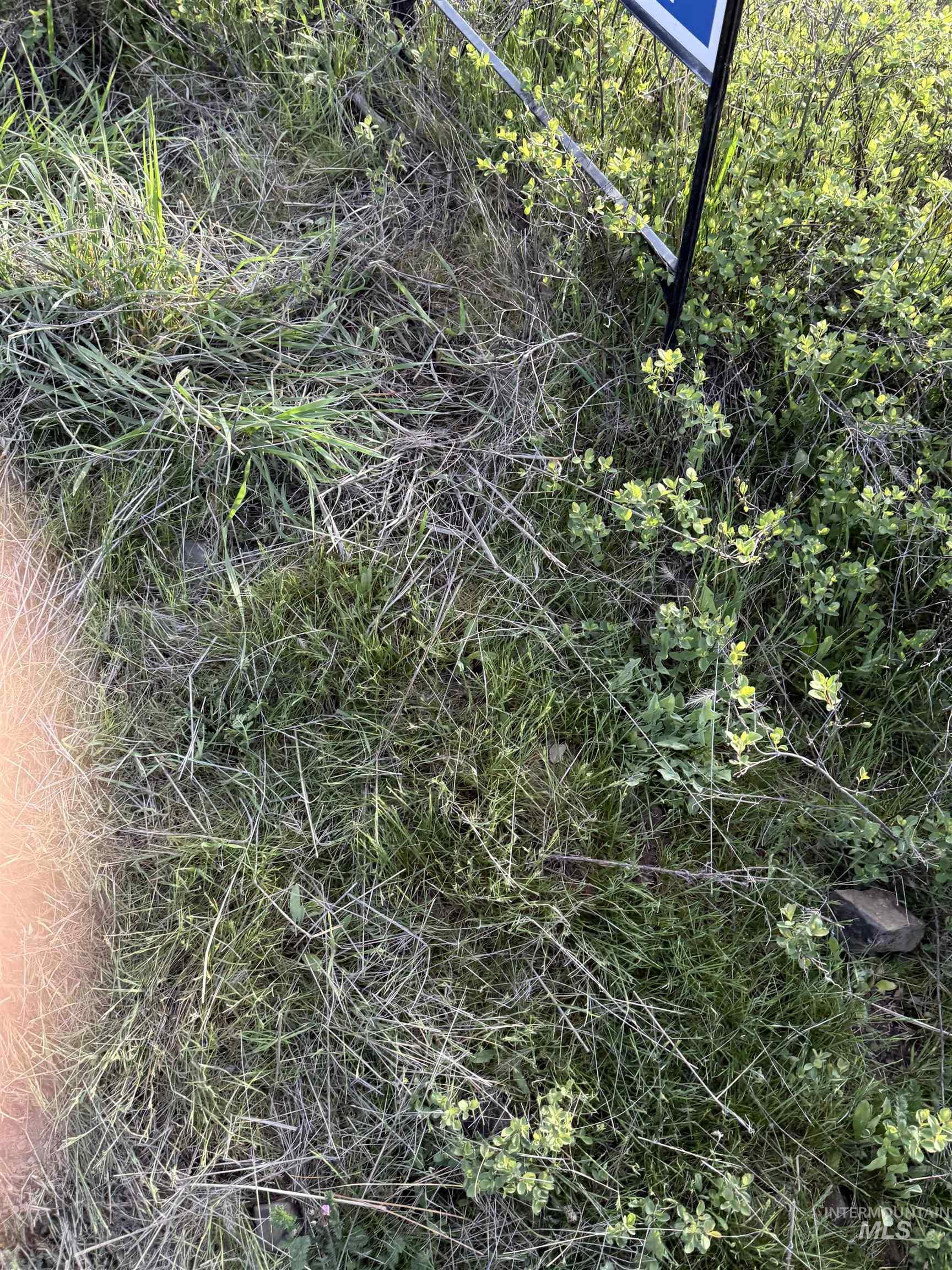 Tbd Tbd Summit Lenore, ID 83541 - Photo 7 of 19