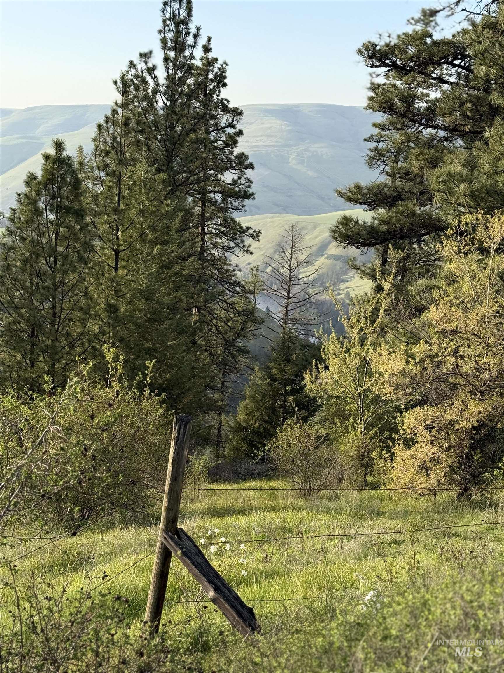 Tbd Tbd Summit Lenore, ID 83541 - Photo 9 of 19