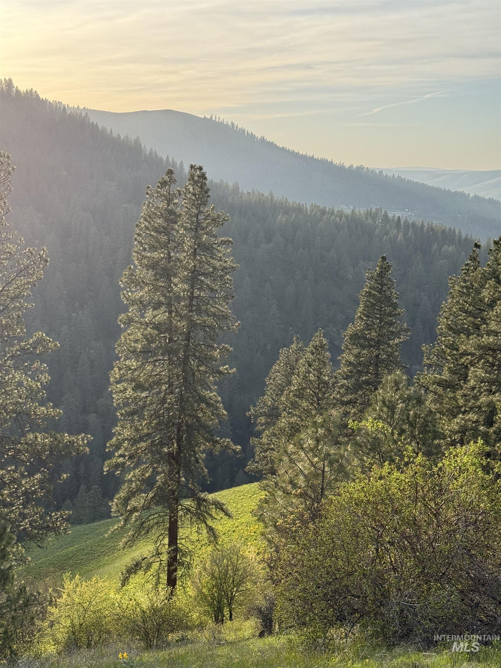 Tbd Tbd Summit Lenore, ID 83541 - Photo 10 of 19