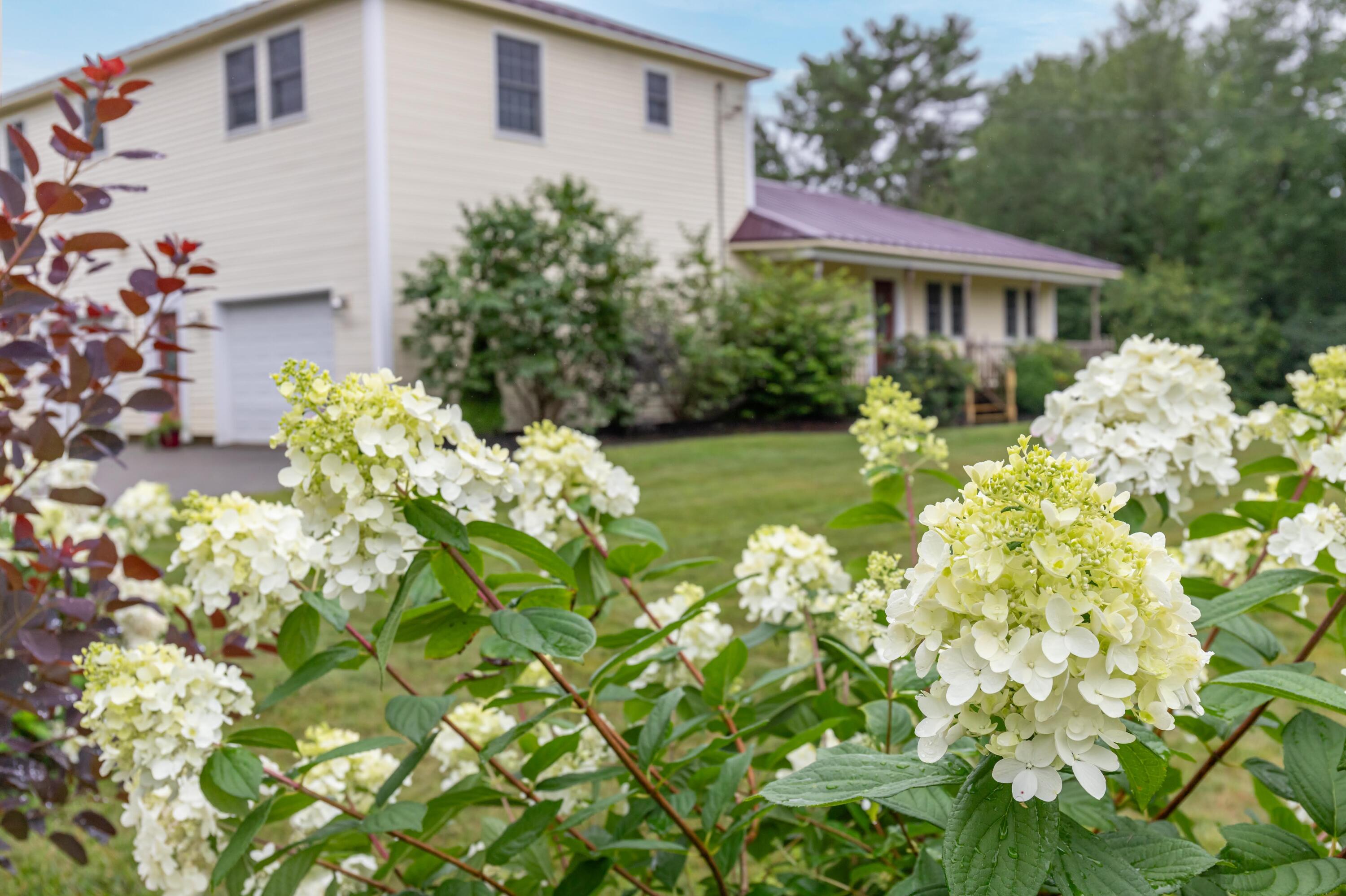 25 Meadow Road Exteriors-2