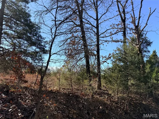 $68,000 | 66 Hc, Marble Hill, MO 63764