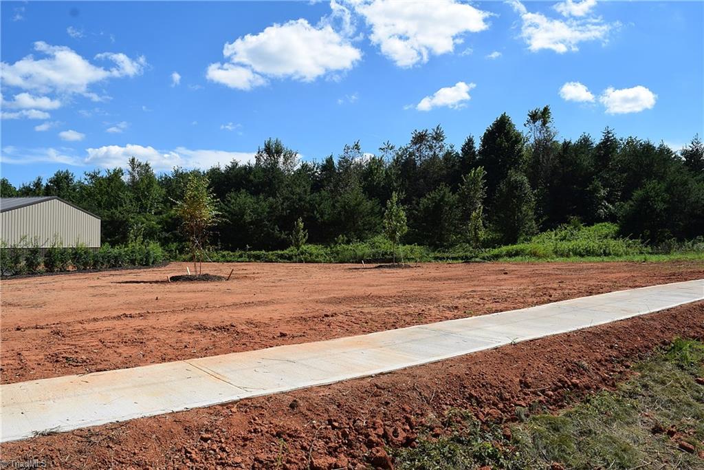 2875 Rocky Branch Road Walkertown, NC 27051 - Photo 8 of 11 Gallery Image 8