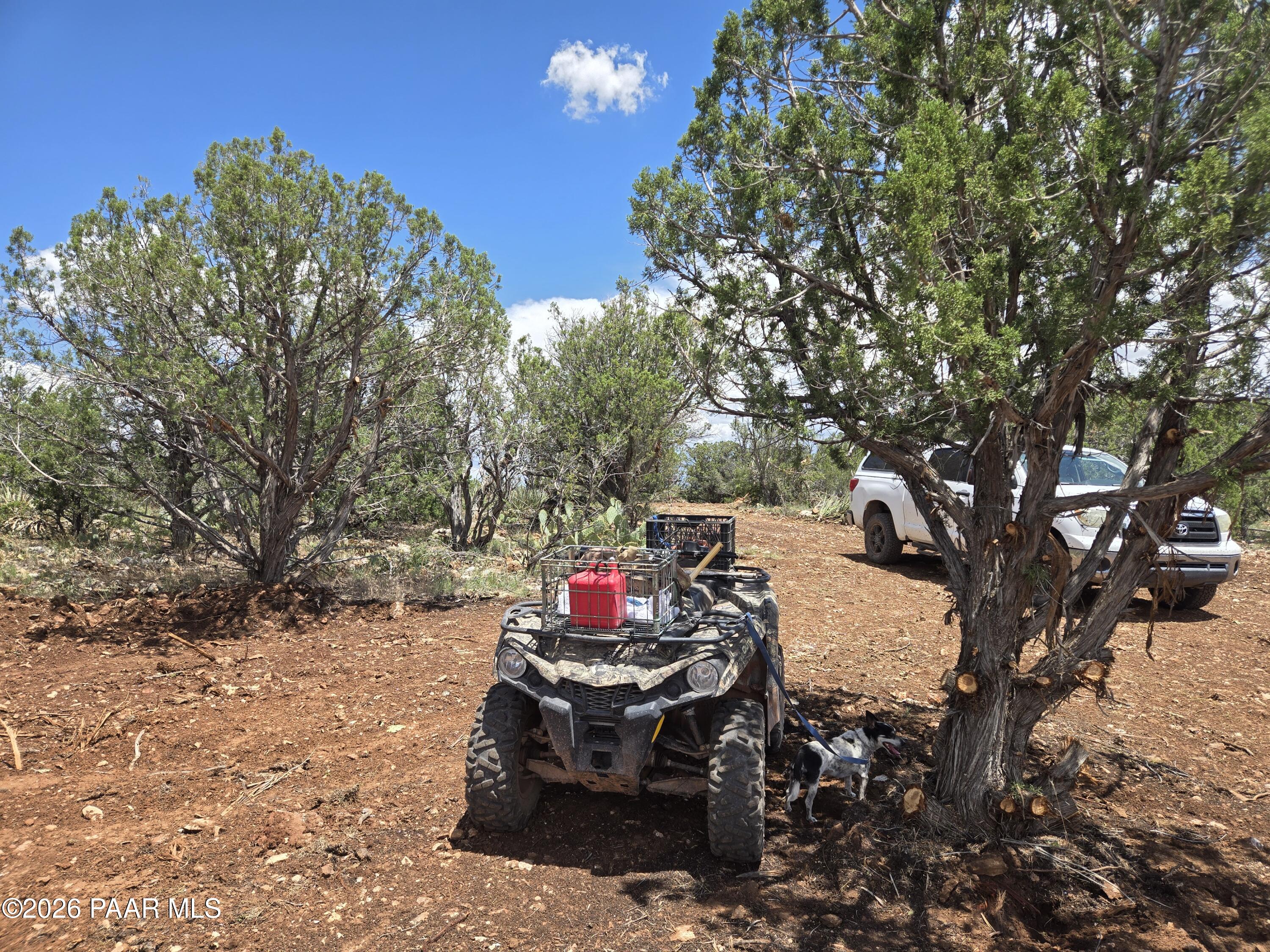 435 South Arizona Road Ash Fork, AZ 86320 - Photo 15 of 17 20260725_125047