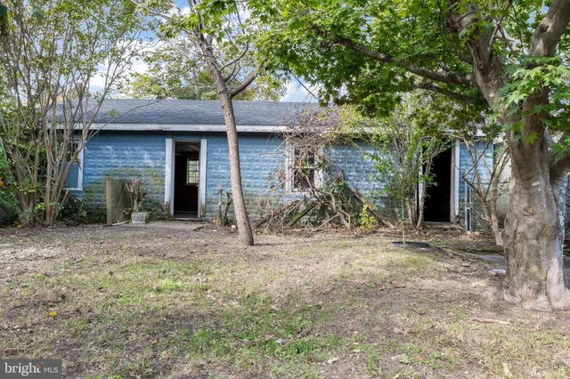 a view of a house with a tree and a yard