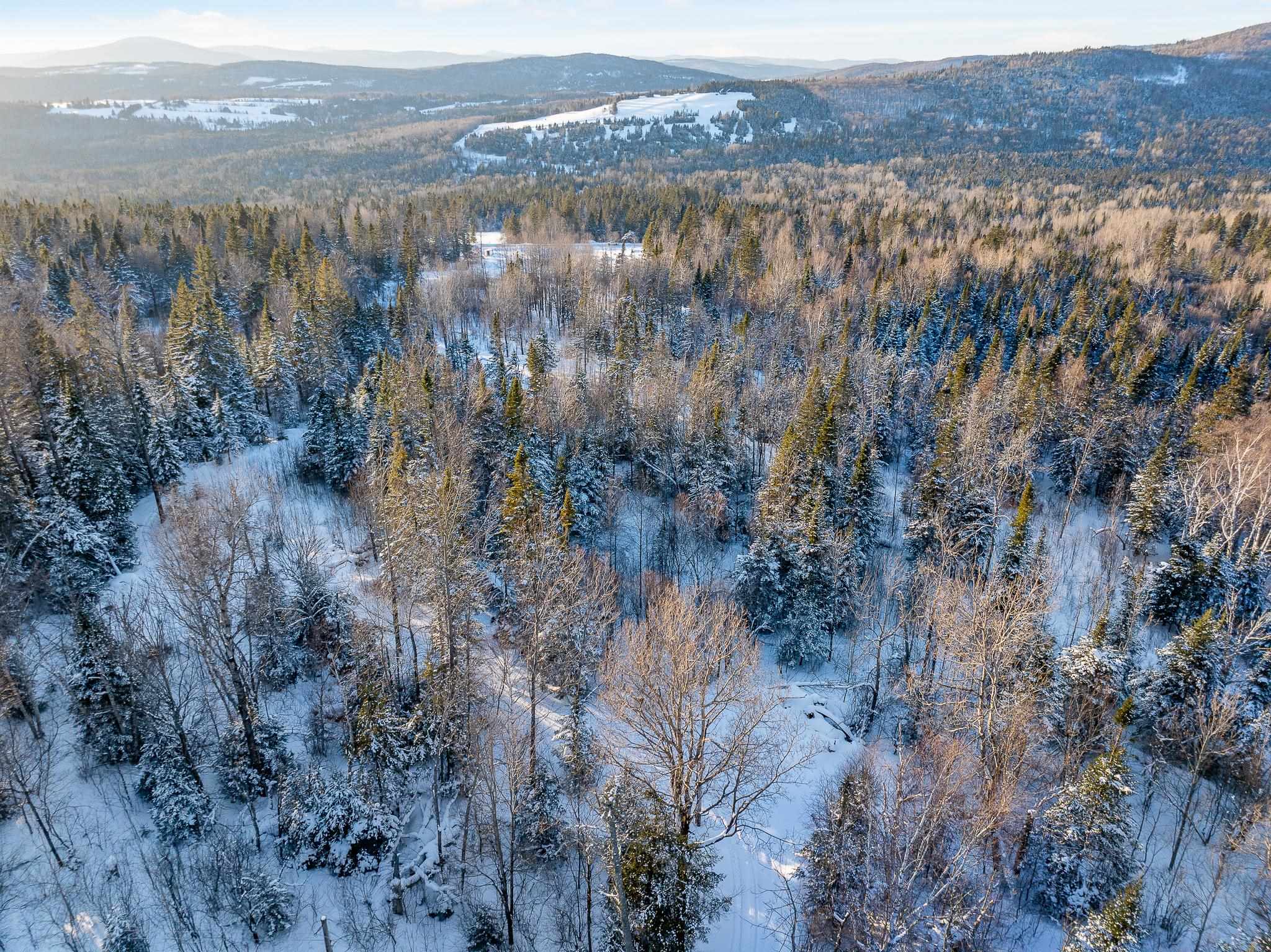 848 Diamond Pond Road Stewartstown, NH 03576 - Photo 11 of 29