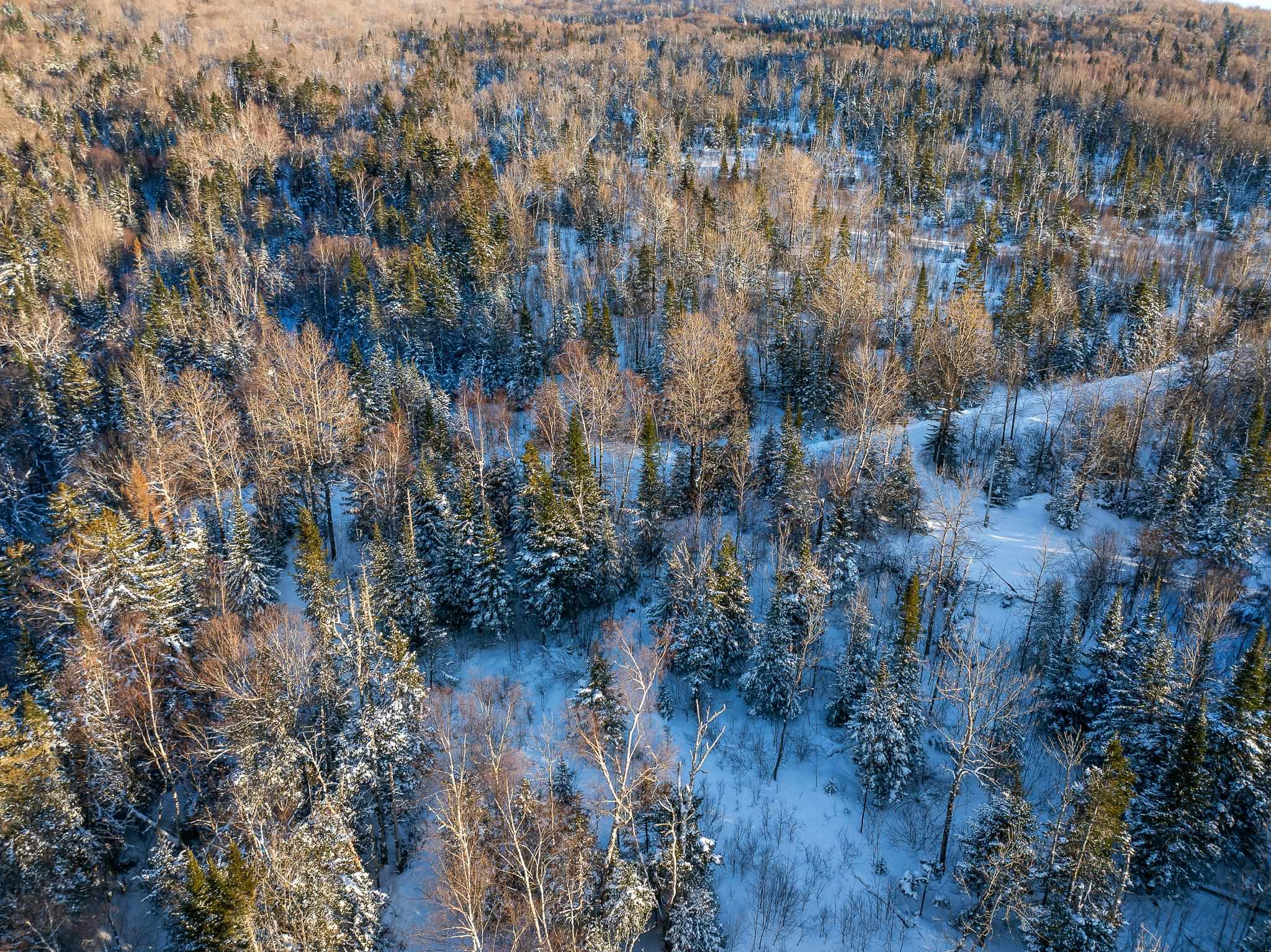 848 Diamond Pond Road Stewartstown, NH 03576 - Photo 13 of 29