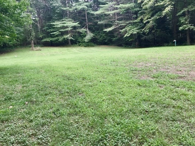 469 Sylvester Road Northampton, MA 01062 - Photo 41 of 42