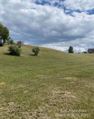 $47,000 | 17118 Country Drive, Manchester, MI 48158