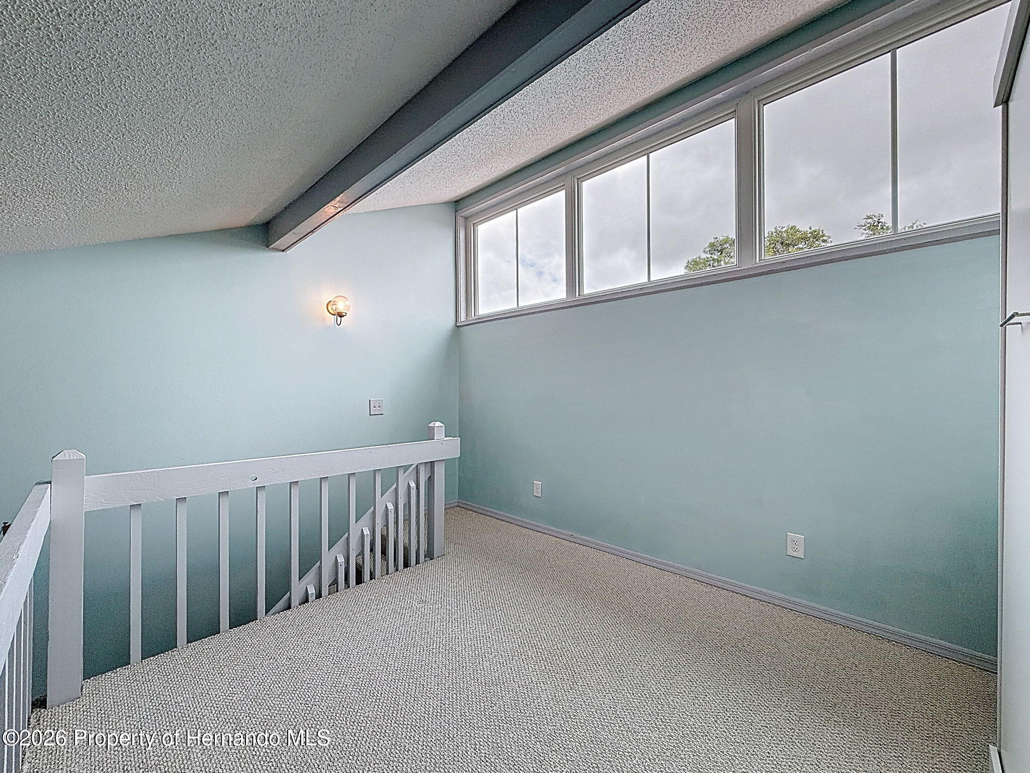 9127 Lingrove Road Weeki Wachee, FL 34613 - Photo 49 of 90