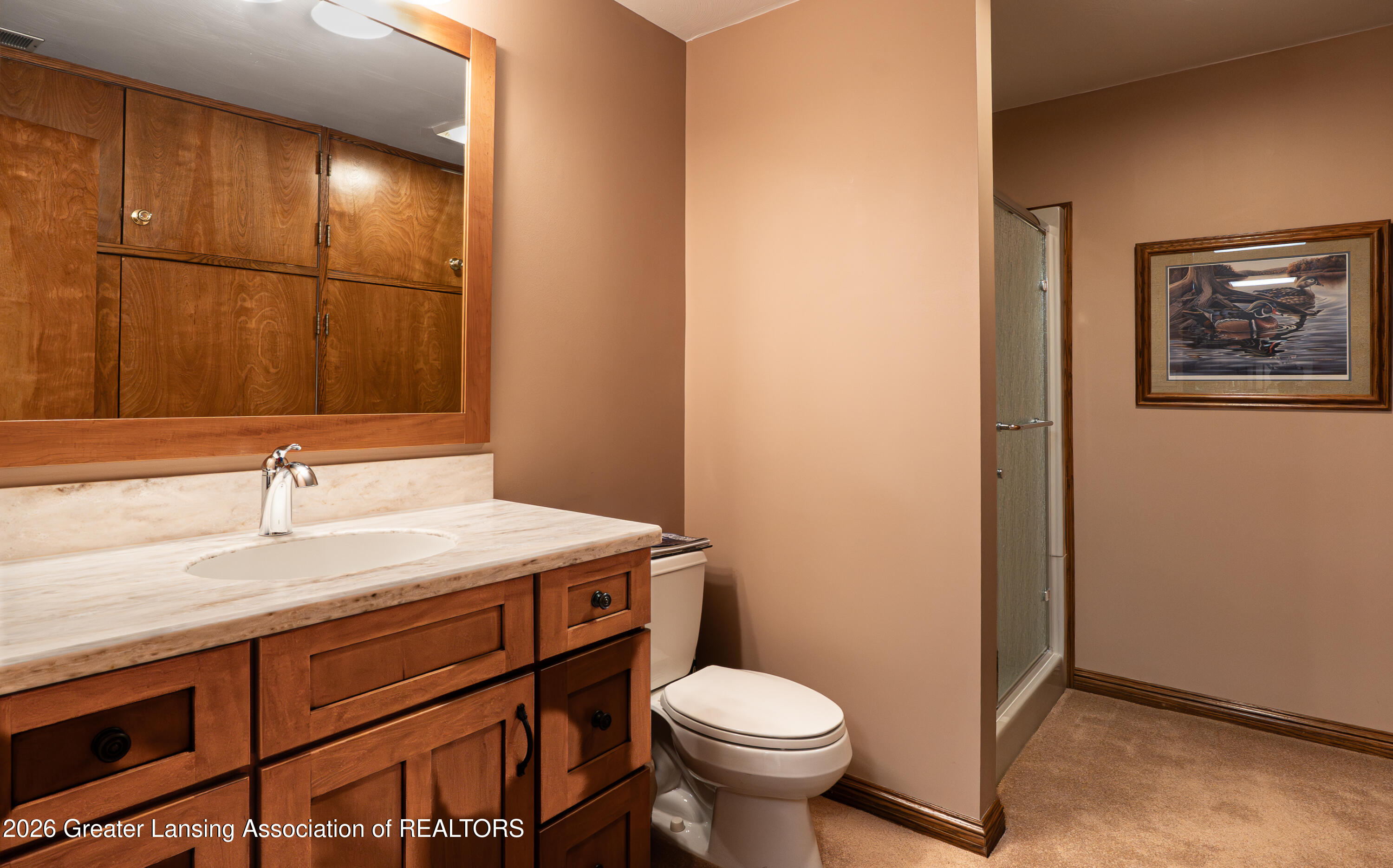 559 Creyts Road Dimondale, MI 48821 - Photo 37 of 48 Bathroom
